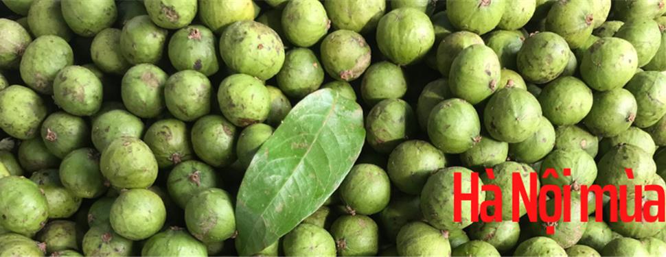 Khuyến mãi máy say ép 20%