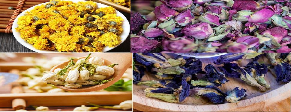 Đồ gia dụng, nhà bếp đẹp cho mùa giáng sinh